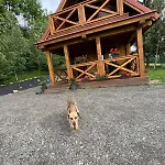 Raszowka *
