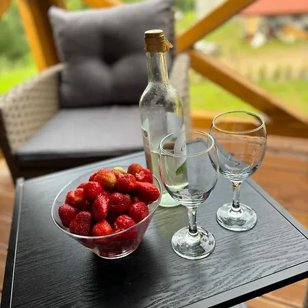 Raszowka Holiday home *