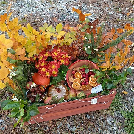 Raszowka * Kamienna Gora