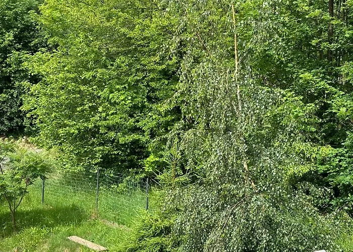 Prázdninový dům Raszowka